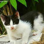 Wilton Kunde Profile Picture