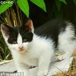Wilton Kunde Profile Picture