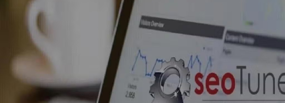 SeoTuners Thousand Oaks Cover Image