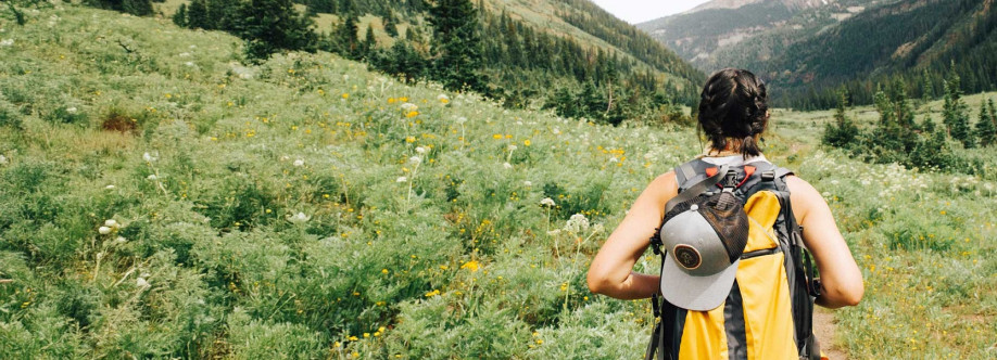 Momenta Recovery Cover Image