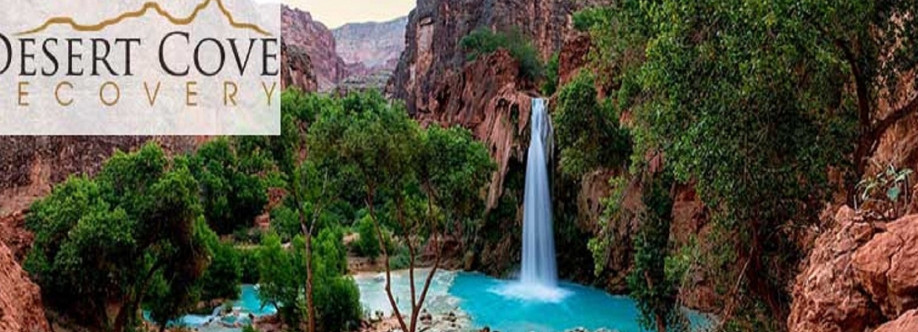 Desert Cove Recovery Cover Image