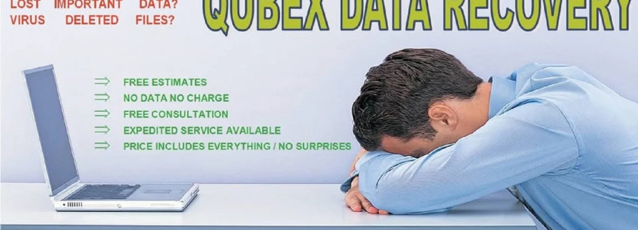 Qubex Data Recovery Cover Image