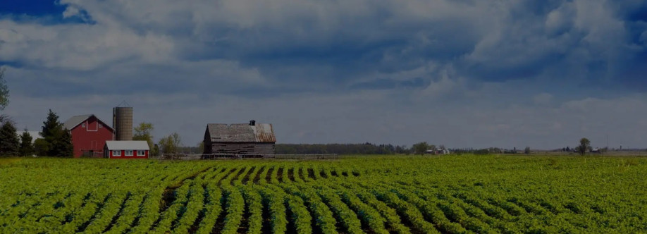 Smith and Co Auction and Realty Inc Cover Image